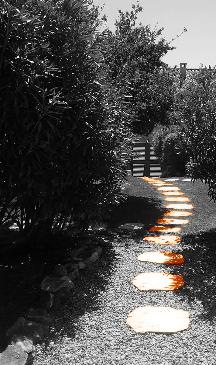 jardins-interieur-illustration